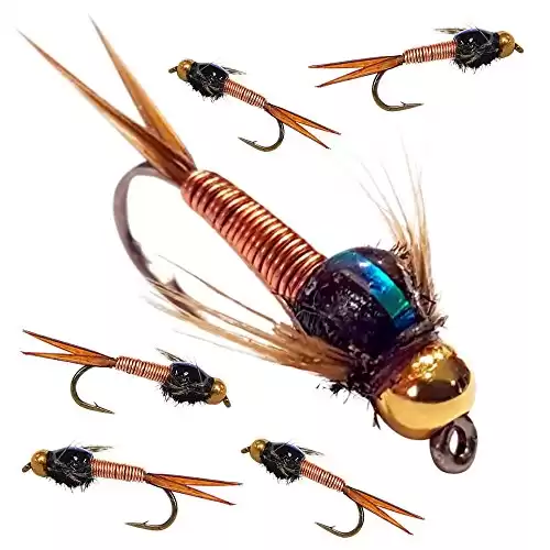 BH Copper John Fly Fishing Nymph Trout Fly Assortment - 6 Flies (Copper)