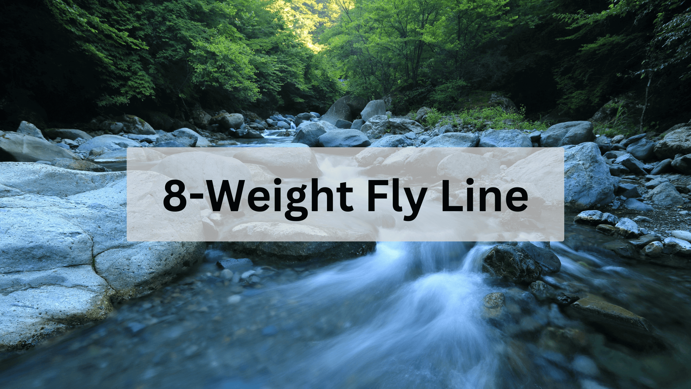 Fly Line Reviews Archives